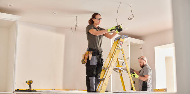 Best Local Electrician Companies  in Fraser, MI